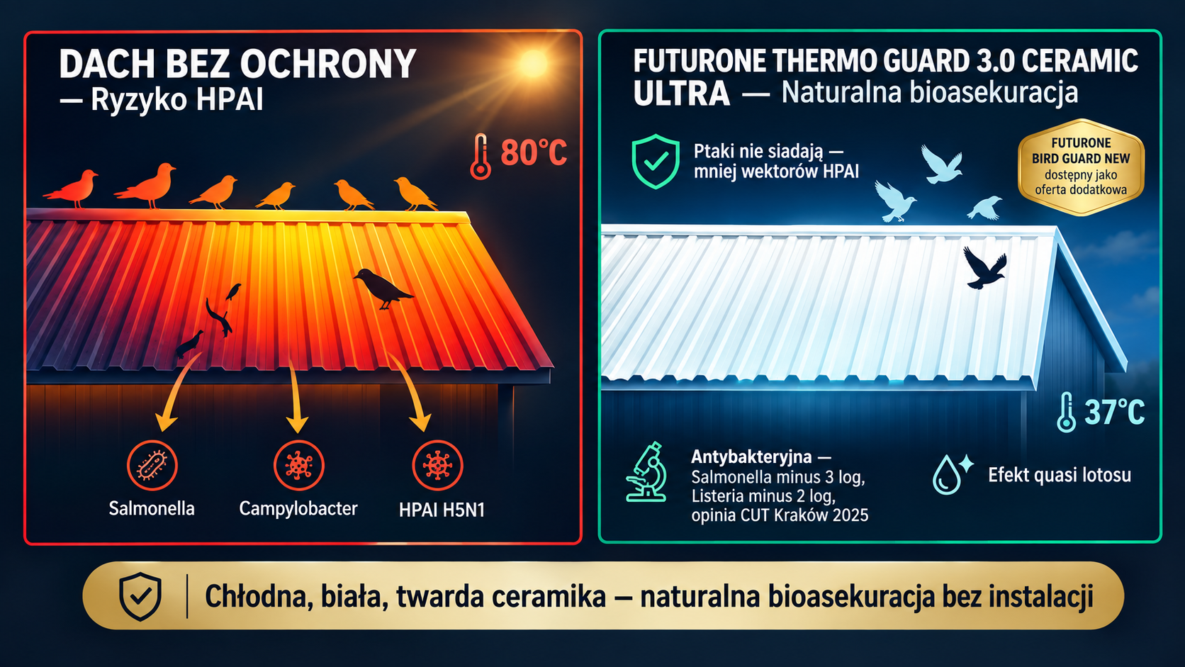 PTAKI 5 (1)